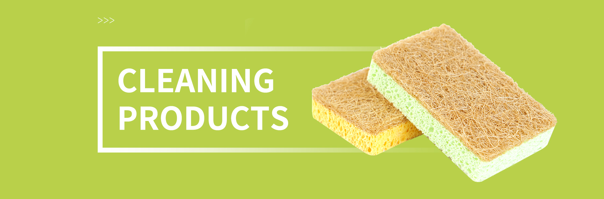 CELLULOSE SPONGES